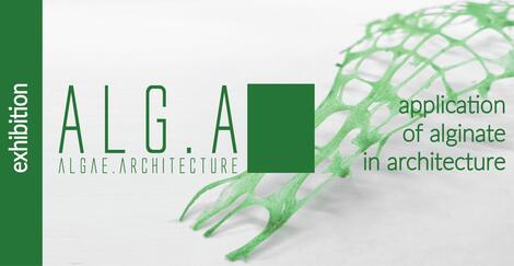 announcement of the exhibition ALGA.A in Pula